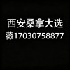 西安品茶工作室海选实体店高端外卖大选场子全城安排电话
