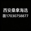 诚邀西安桑拿工作室大选海选品茶场子全城安排实体店