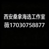 推荐西安品茶实体店海选场子T台大选会所高端大圈外卖工作室